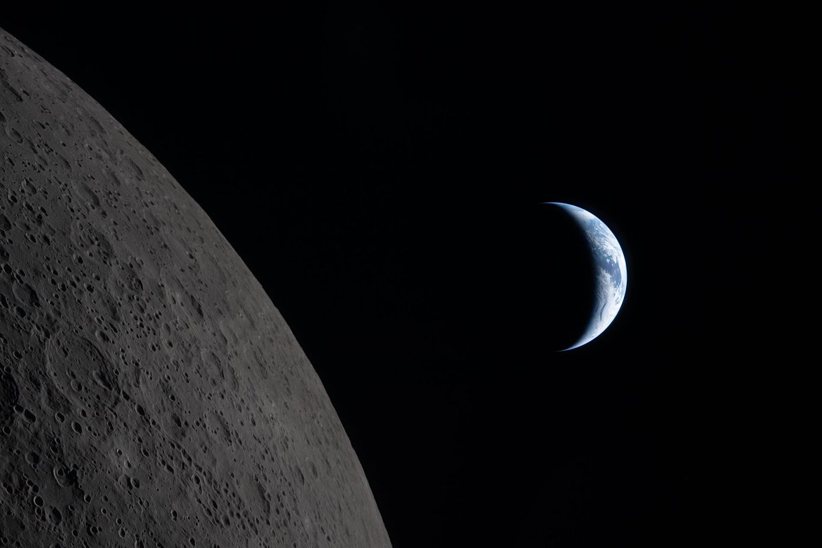 Space Nøsey tweet media