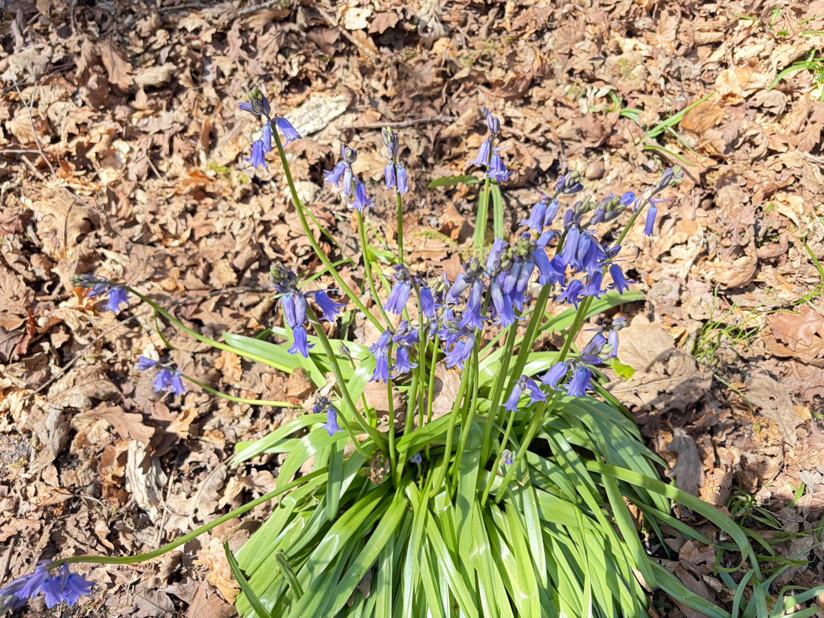 Emmawales123 tweet media