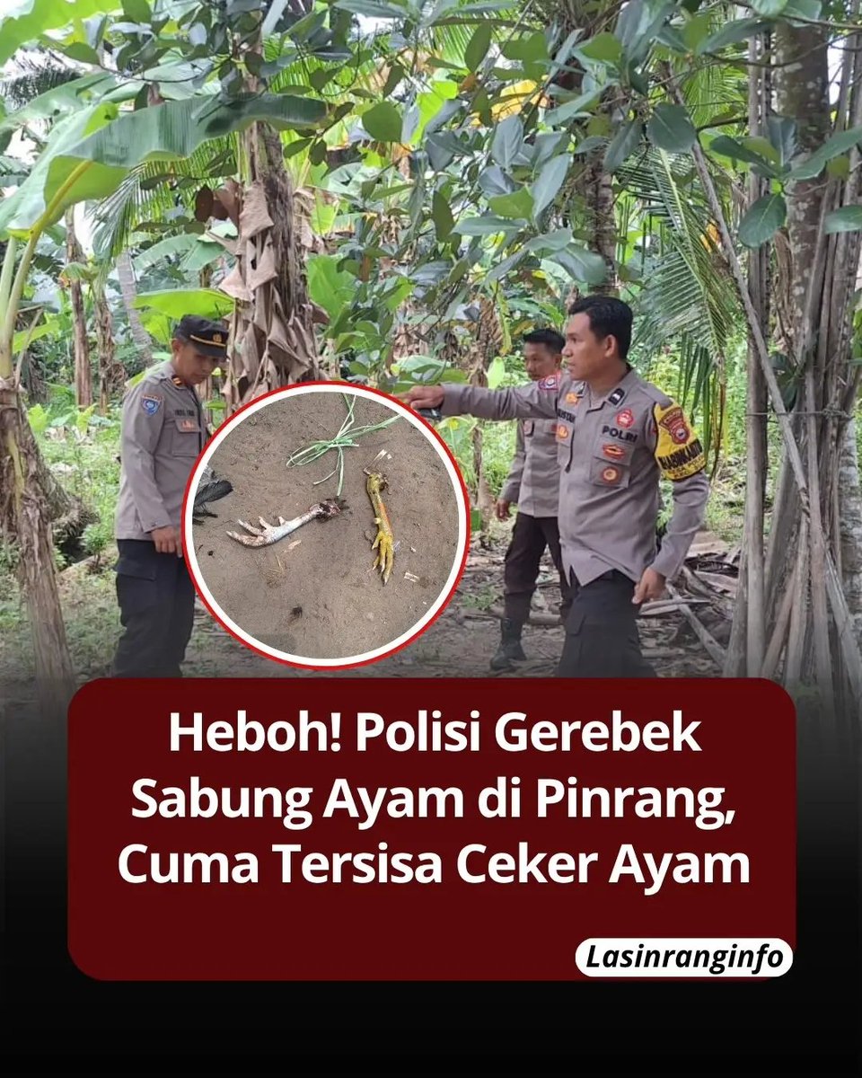Azdimaza tweet media
