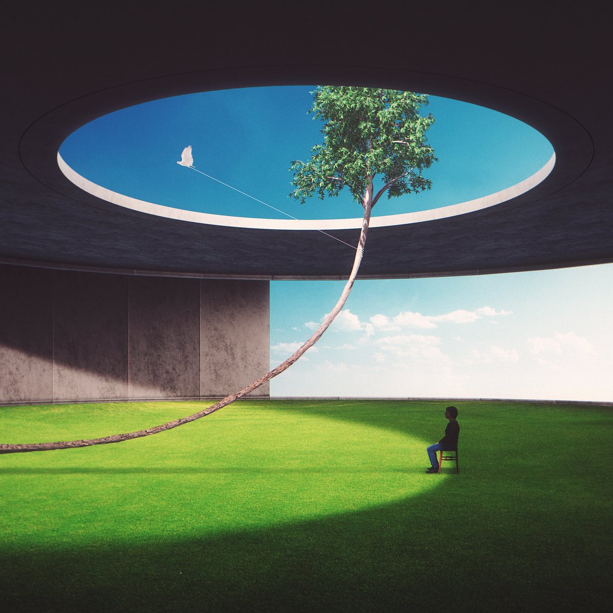 MiraRuido tweet media