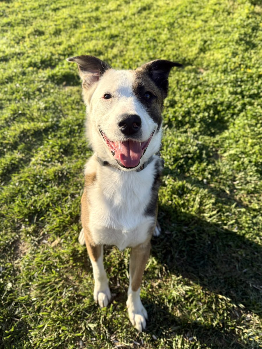 şey 👉🏻👈🏻 bize bi ömürlük yuva lazımmış da halledebilir miyiz o işi?