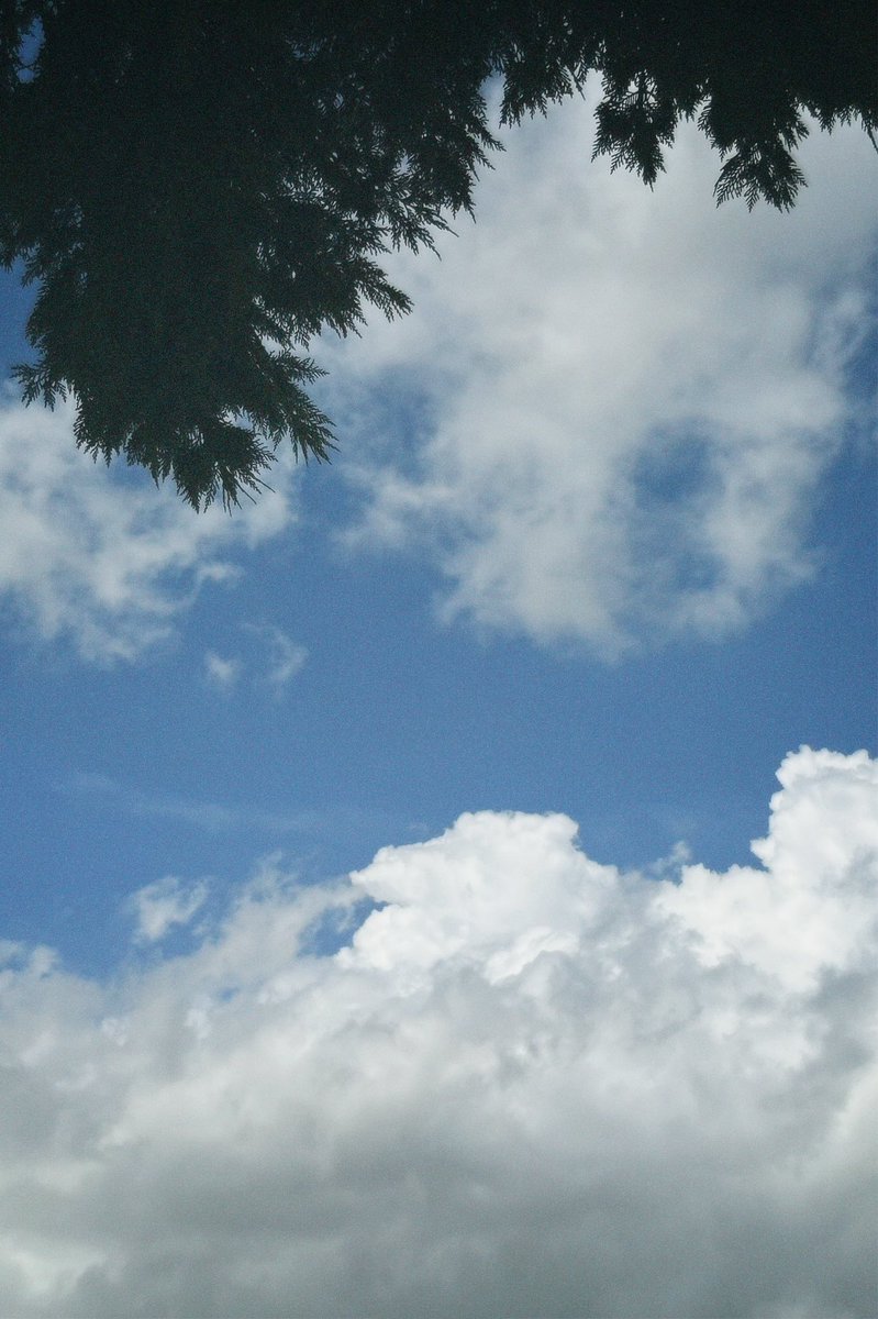 ހޥގ ❀ ₊˚๑ ⋆ tweet media