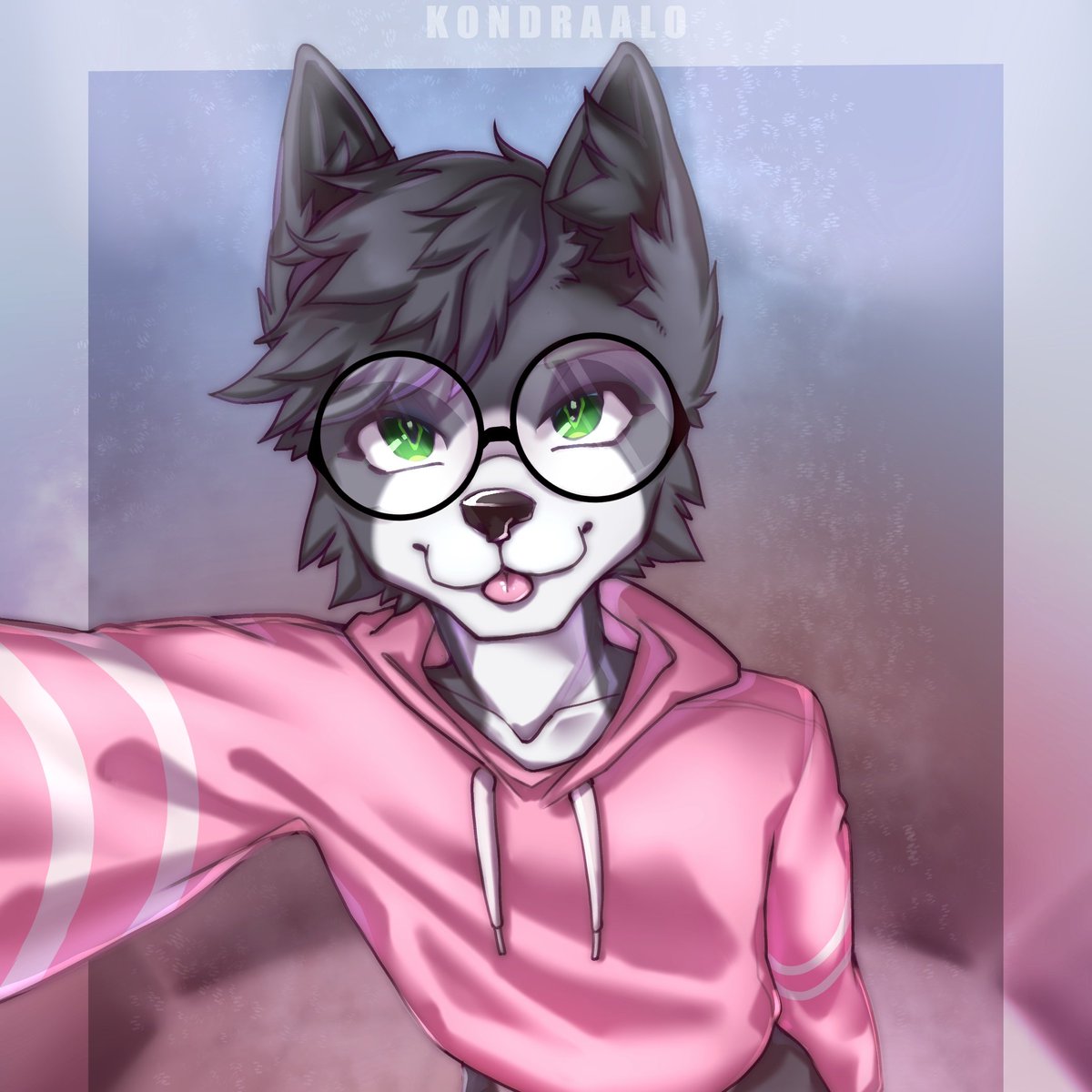 🍥 Arnhem 🍥 tweet media