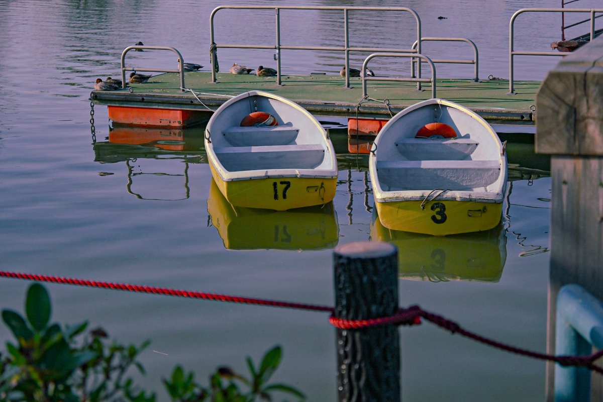 aki/•᷅•᷄\୭ tweet media