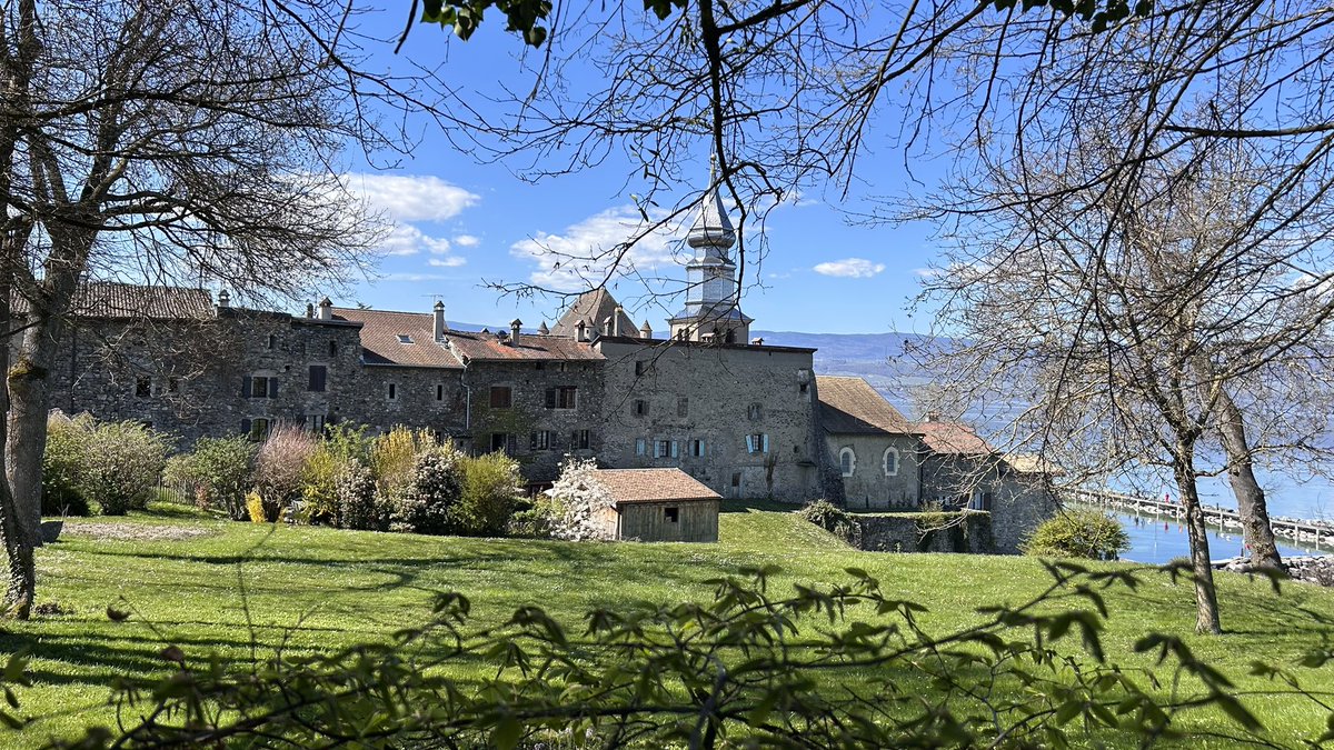 Sophie HELLO tweet media