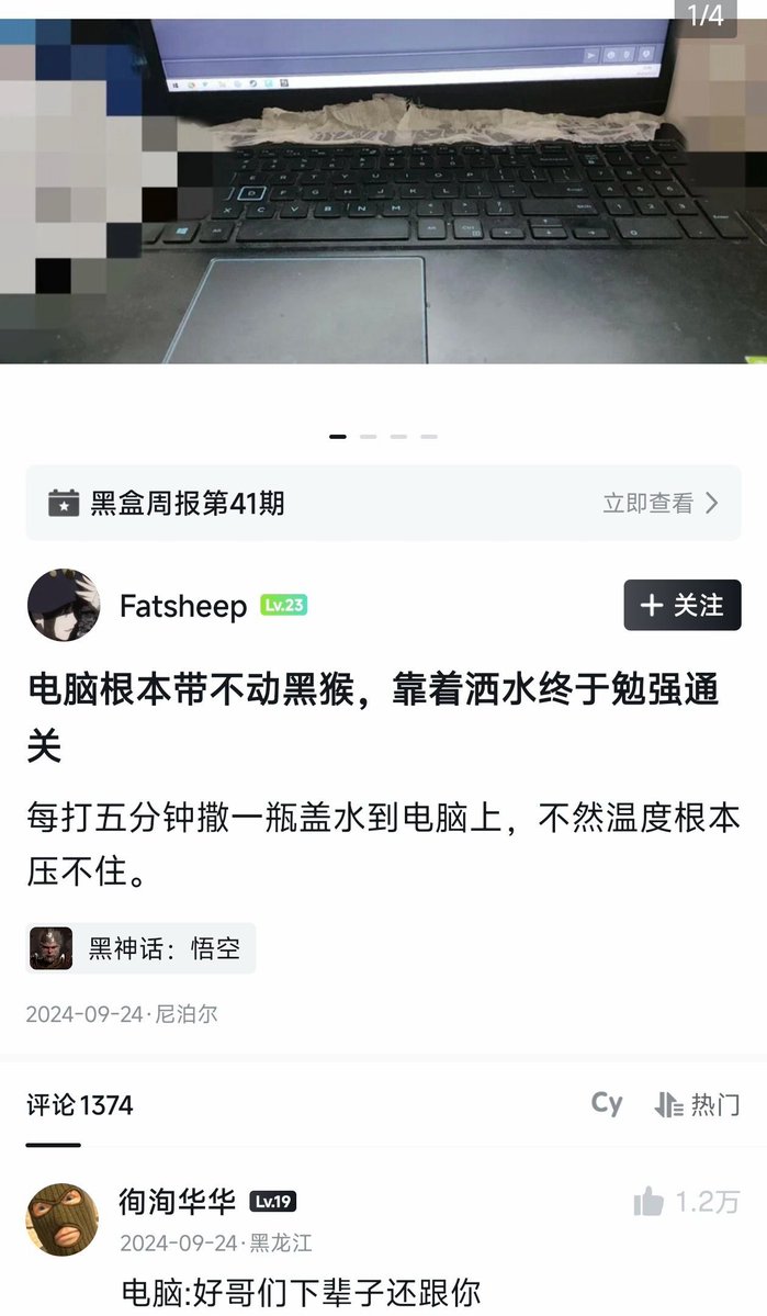 雲鳩 tweet media