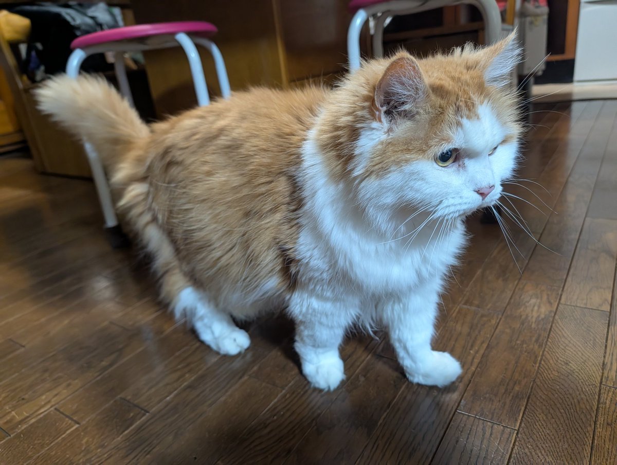 きんや Xにロボット認定されたらしい tweet media