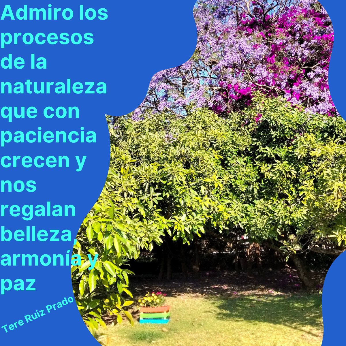 terechula's tweet photo. #BuenosDías #FelizMartes #FraseDelDía #Gratitud #VibrarAlto
🌞🌝🧭🌴😺🦋🎖️🎯🎨📸🪄⚖️📈📉🗂️🌻🍐🫖⚖️📚📝🚲🚙🏡 https://t.co/U2VLjhRv6W