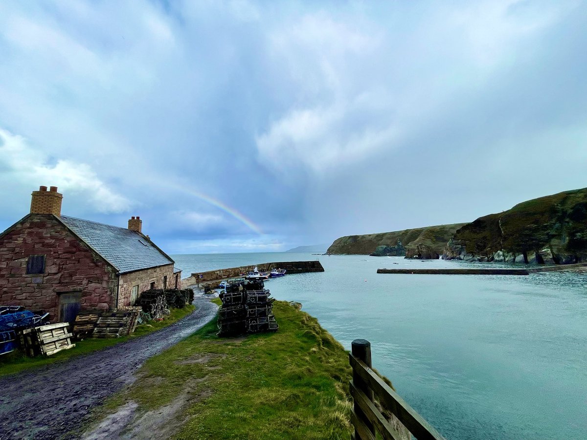 Iconoclast tweet media