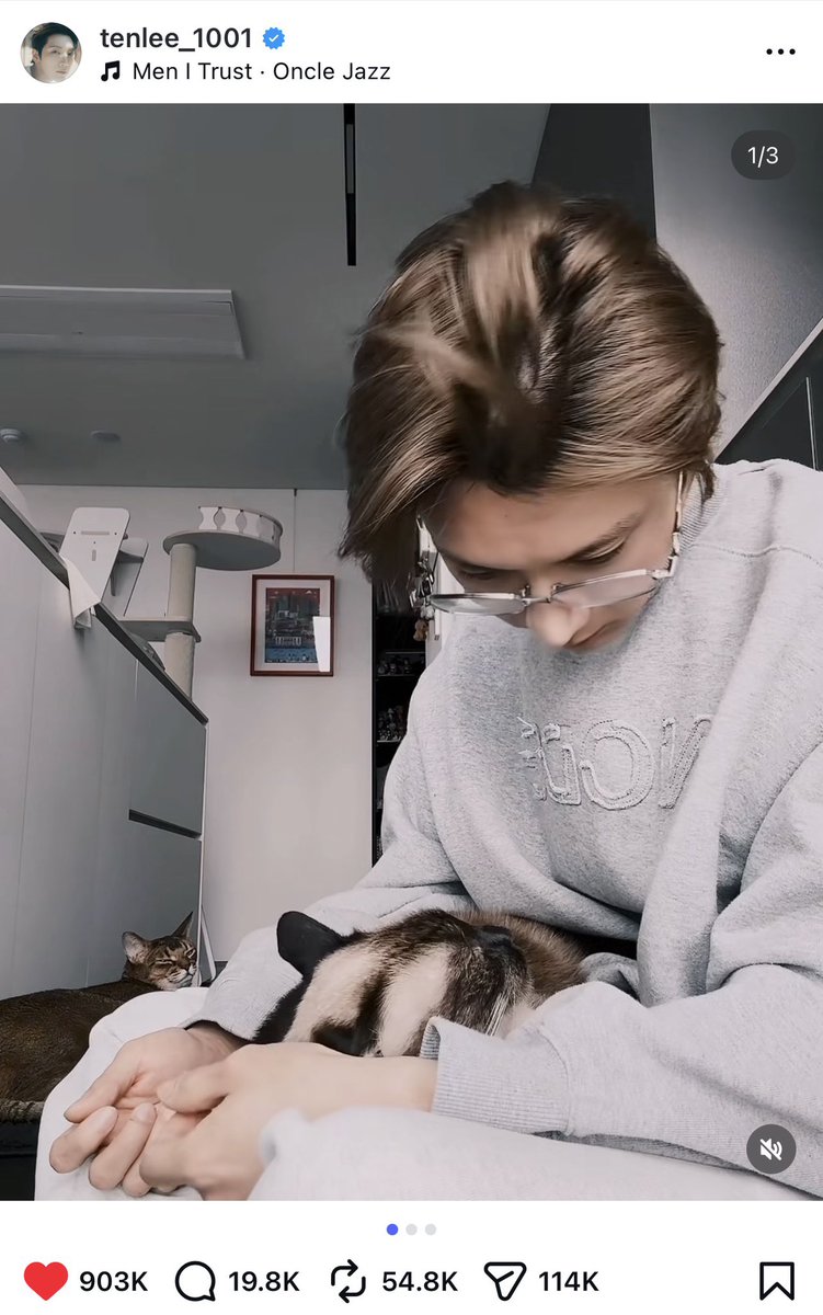 🤹🏻‍♀️ 🐈‍⬛ tweet media