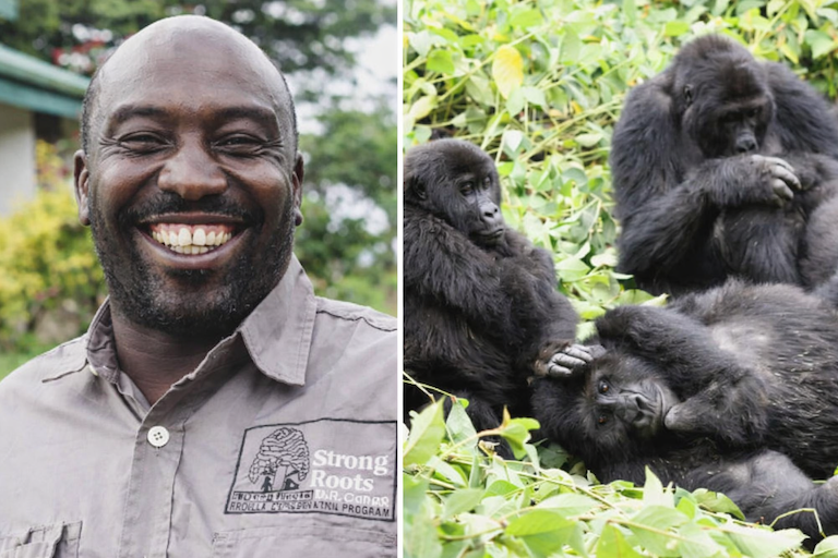 WorldApeFund's tweet photo. ‘I escaped death a lot of times’- one man’s lifelong work protecting gorillas and communities in Congo: https://t.co/AOIhDlbVdf https://t.co/99JJp1SuQ5