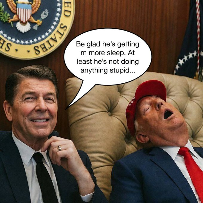 Will Not Live Twice tweet media