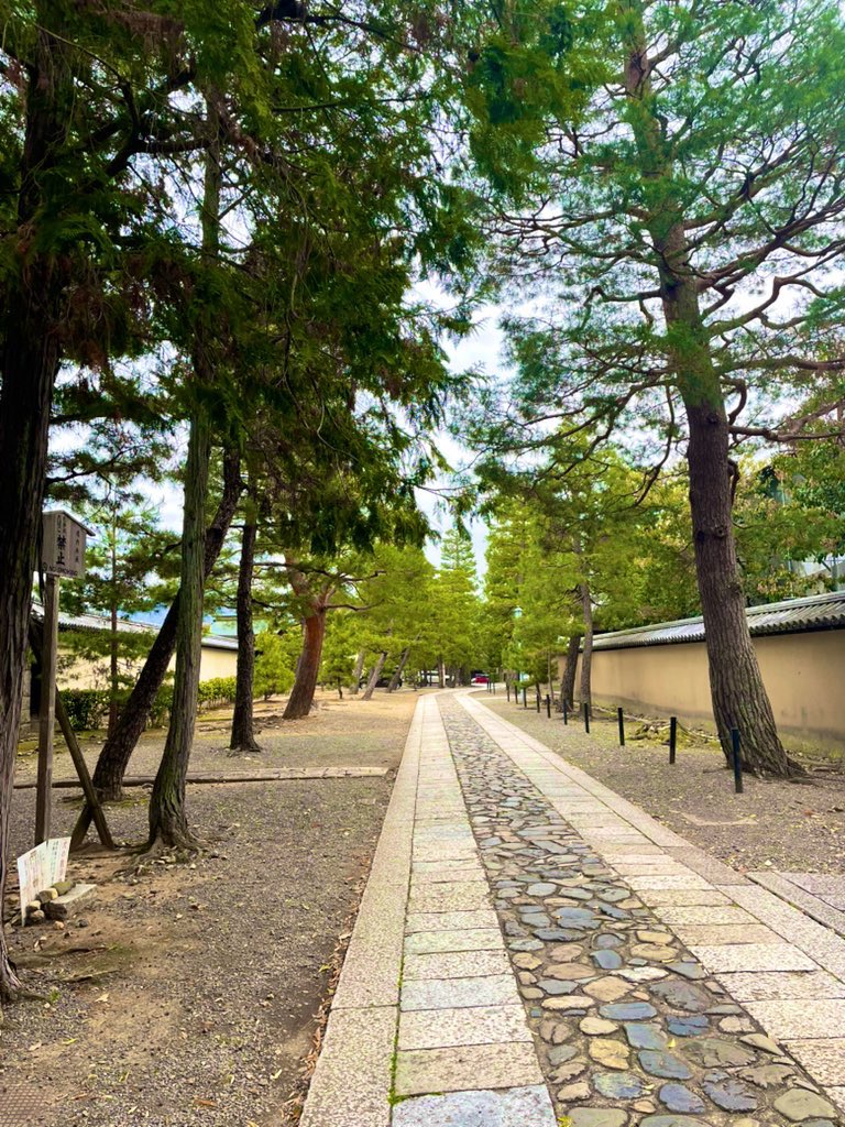 もっぢぽよ∞ tweet media