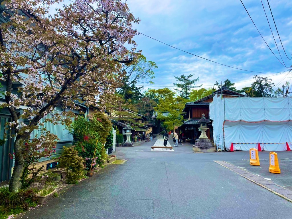 もっぢぽよ∞ tweet media