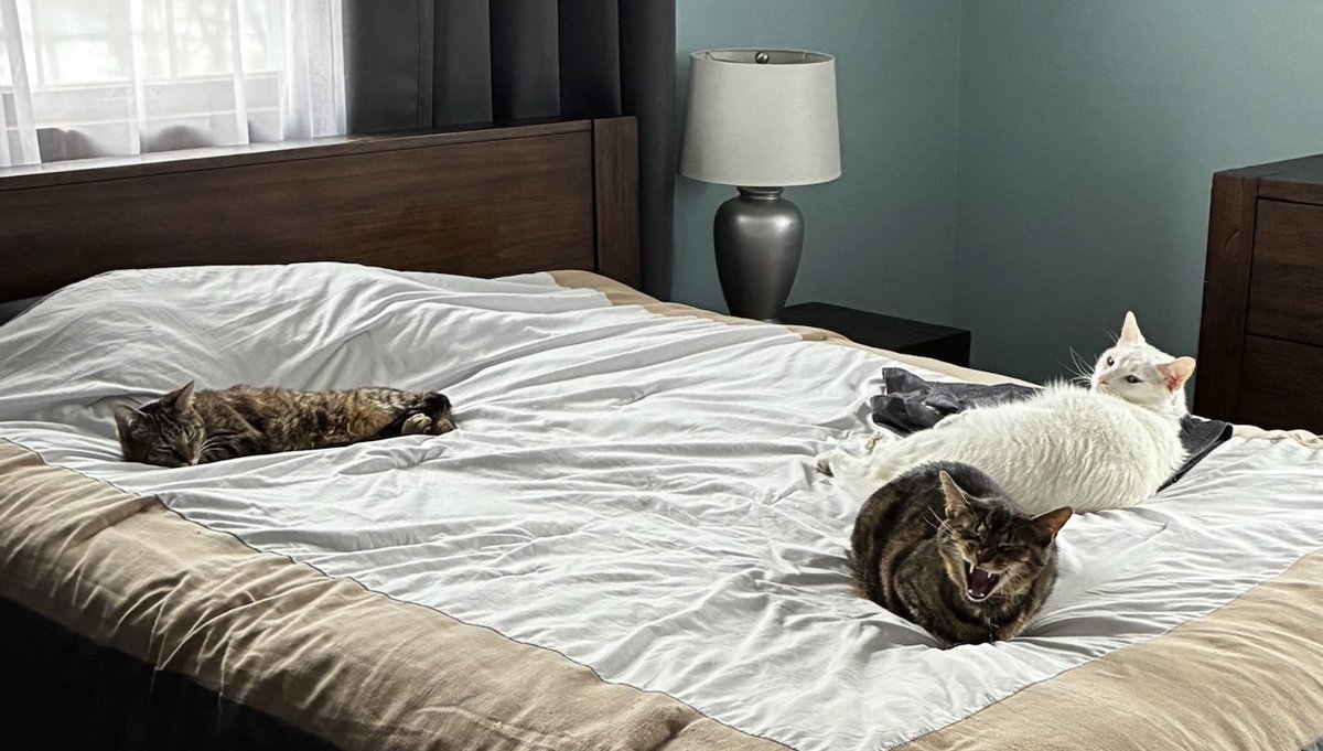 Mike Fleming tweet media