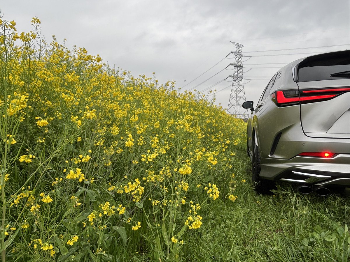 pPDBL4nrEN37015's tweet photo. @LBXMORIZORR #これを見た人は愛車の背景が桜の画像を貼れ
#LEXUS
#NX
#レクサスと日本の風景
#菜の花とNX350h
#ソニックチタニウム
#EXART https://t.co/6cdZwEsDlC