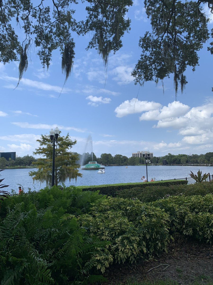 Orlando Magic Guru. tweet media