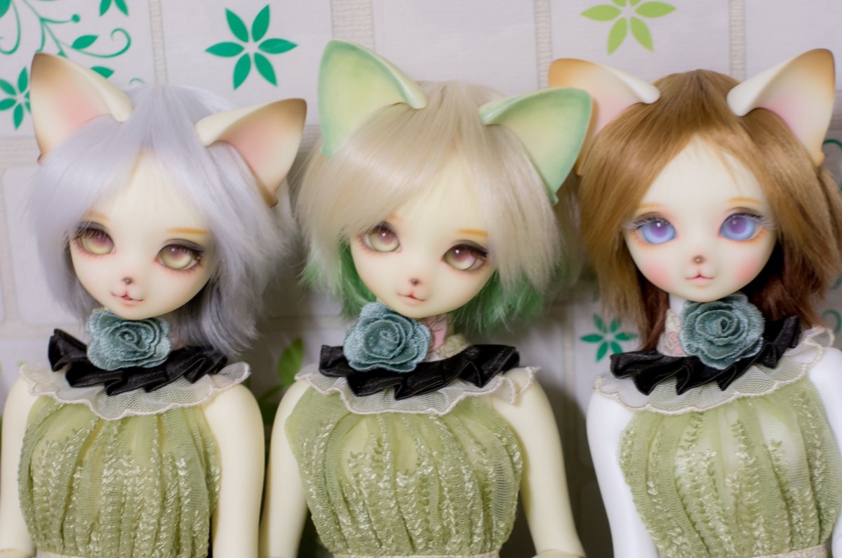 今日のアンジェラさんさん