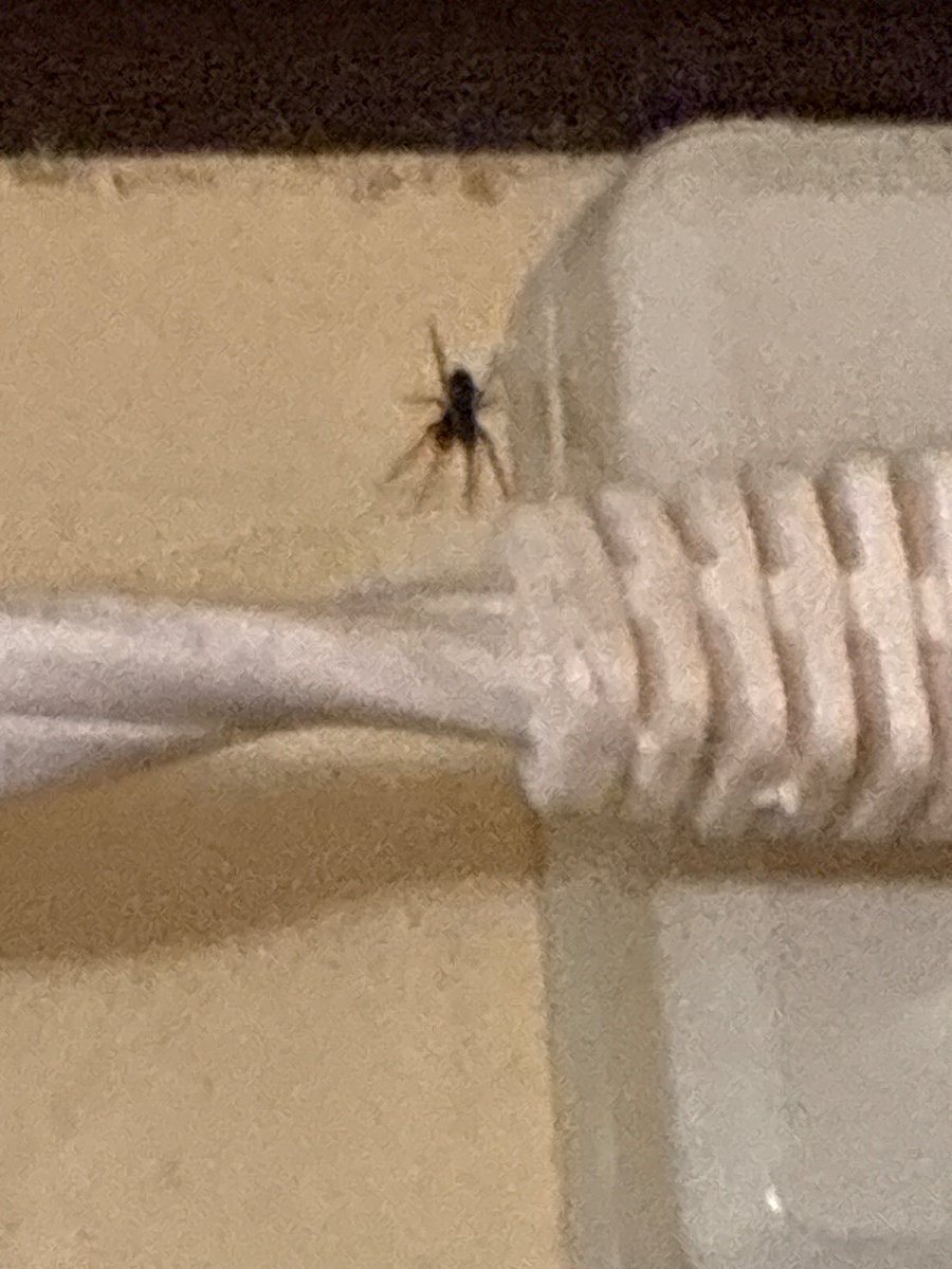 のあさぶ🤍ྀི💫 tweet media