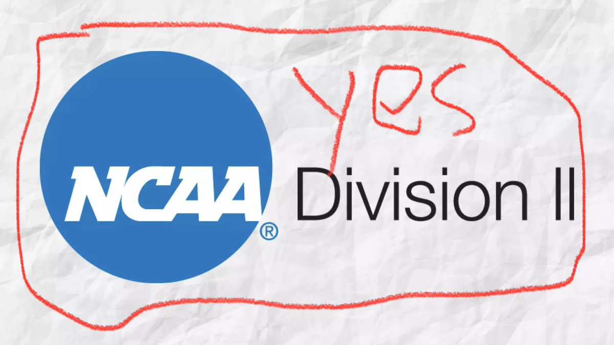 Chris Reed tweet media