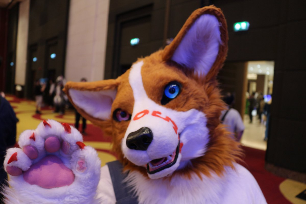 koimei2's tweet photo. @typhone2024 #Thaitails2026 https://t.co/la9n7qhdww