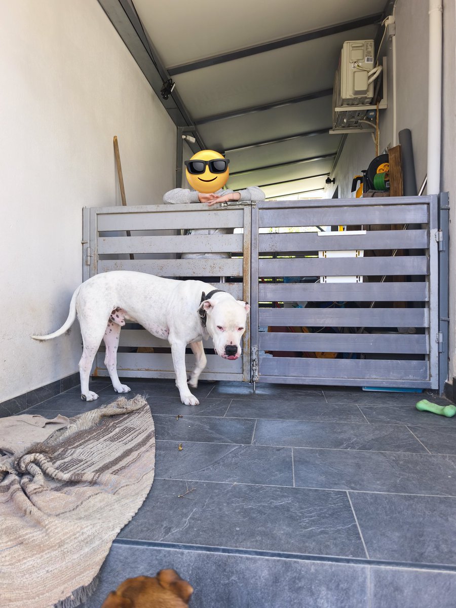 ΣκυλοπαΤέρας tweet media