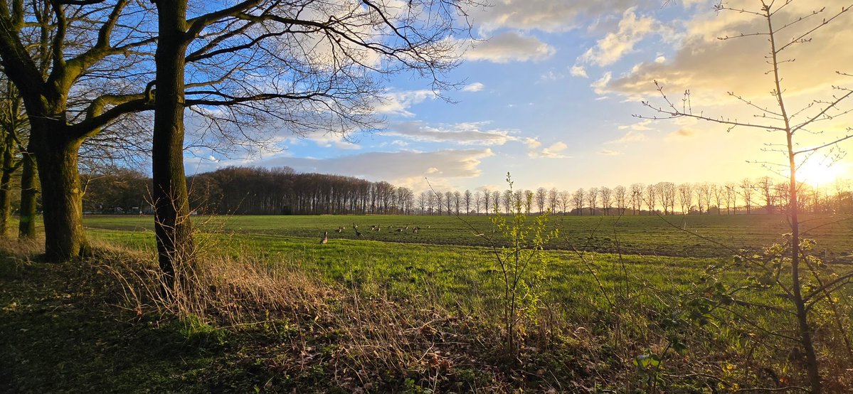 gormdearg's tweet image. Frühling in Recklinghausen 
Foto von @Shira464 
Beitrag zur Foto-Followerparade "Frühling"
wirschum.de/followerparade/