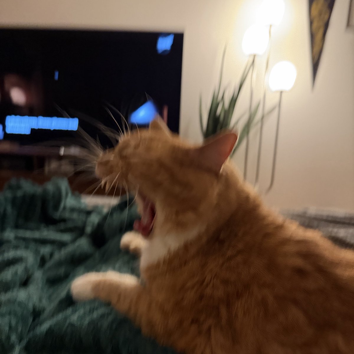 mariah ✷ tweet media