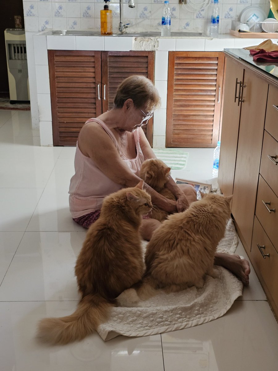 เรเร พยูนบูด tweet media