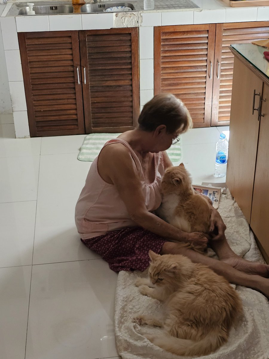 เรเร พยูนบูด tweet media