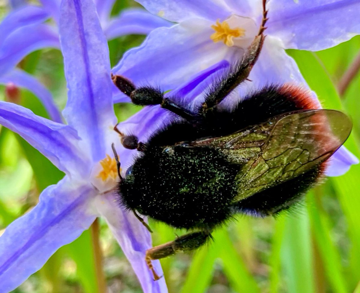 Cloudymamma tweet media