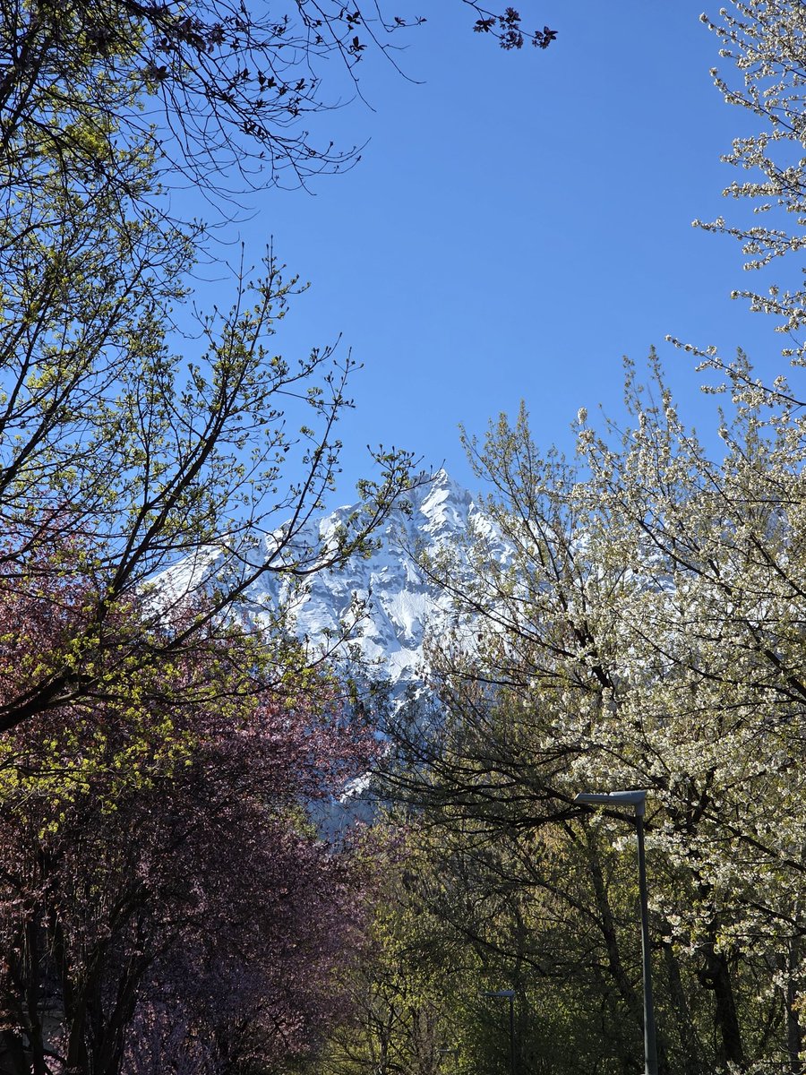 jojo (โยโย่) 🍊 be yourself FKT tweet media