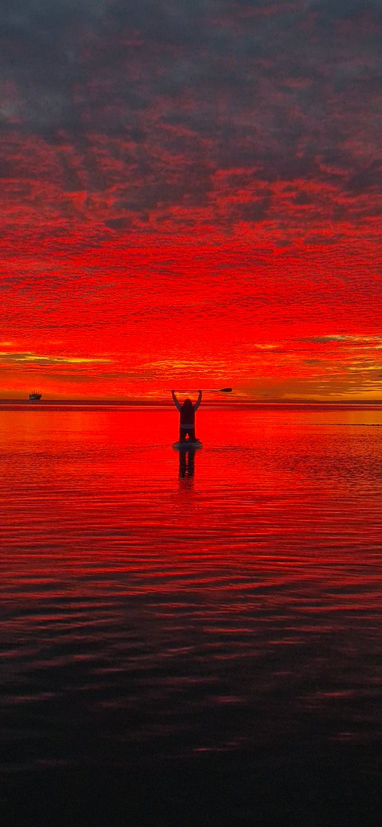 Jaime Oyarzun S. tweet media