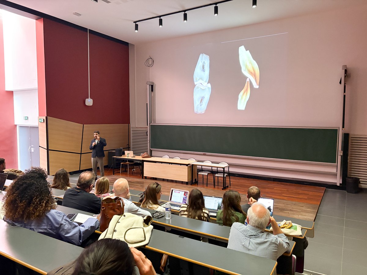 OdontoUNICA's tweet photo. Une belle journée de partage aujourd’hui pour la conférence du Dr Anthony ATLAN, organisée par le Dr Romain CEINOS.

Ce moment a rassemblé de nombreux praticiens autour de thématiques actuelles, avec des échanges concrets, une expertise pointue et une réelle valeur clinique.

💬 Des discussions riches
🦷 Des cas inspirants
🚀 Une vision moderne de la dentisterie

Un grand merci au Dr Anthony ATLAN pour cette intervention de grande qualité, au Dr Romain CEINOS pour son implication, ainsi qu’à tous les participants pour leur énergie et leur engagement !

Un grand merci également à nos partenaires : 3MC CONCEPT, BISICO, JLB DENTAIRE, KOMET et MEISINGER.