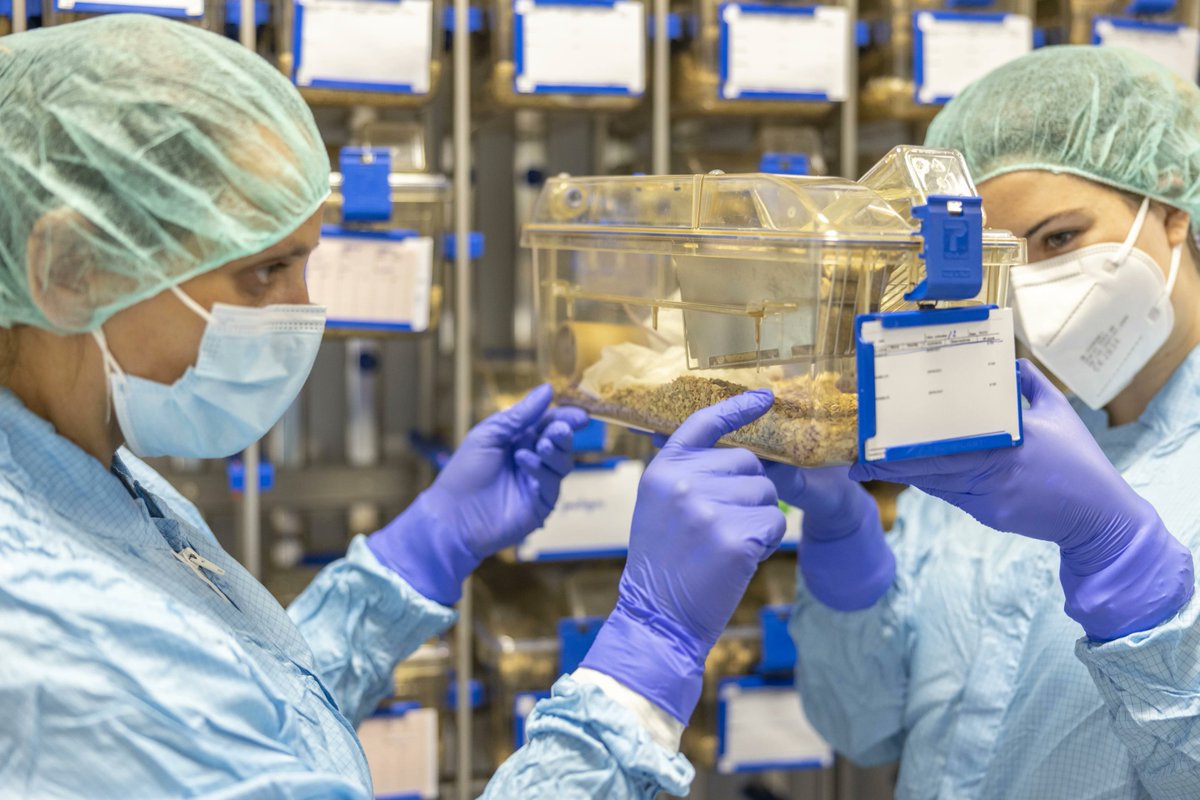 GTRecerca's tweet photo. The work of the IGTP-@hgermanstrias Biobank and #CMCiB has been highlighted in a multimedia story by @BBMRIERIC for #WorldHealthDay #WHD2026

A cross-disciplinary and responsible approach at the Animal Model Sample Bank 🧫

🔗 Learn more: https://t.co/1qEKfgEywT https://t.co/wk9KXvvjaN
