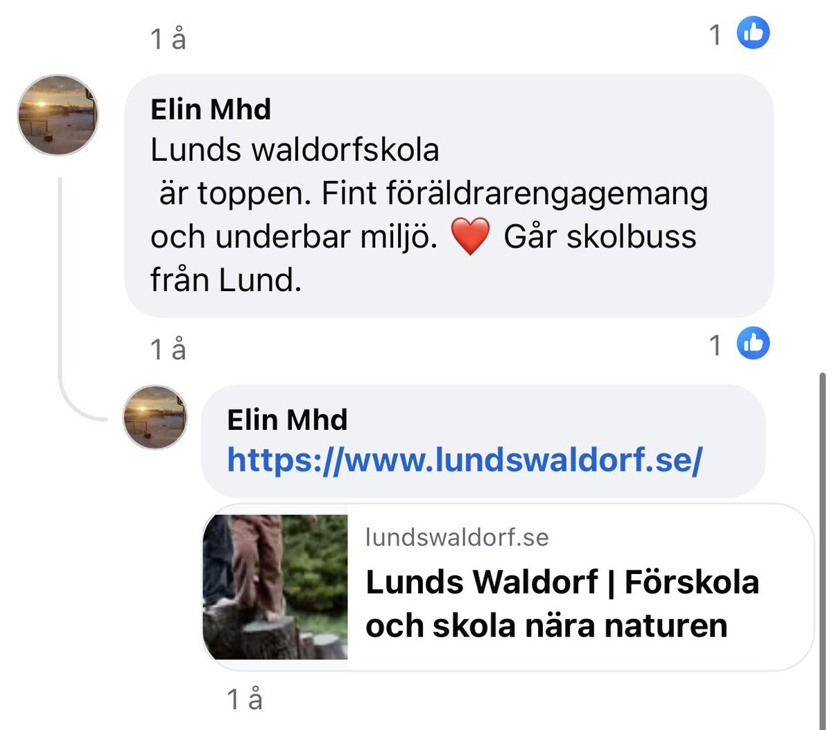 Alla elever som jag har fått från Waldorf-skolan har underpresterat enormt, kommit med kunskapsluckor och trots det uteslutande haft högutbildade föräldrar. Eleverna har också haft glädjebetyg, varför -30 långt ifrån berättar hela sanningen. 

Men vad spelar det för roll! ✌️😔