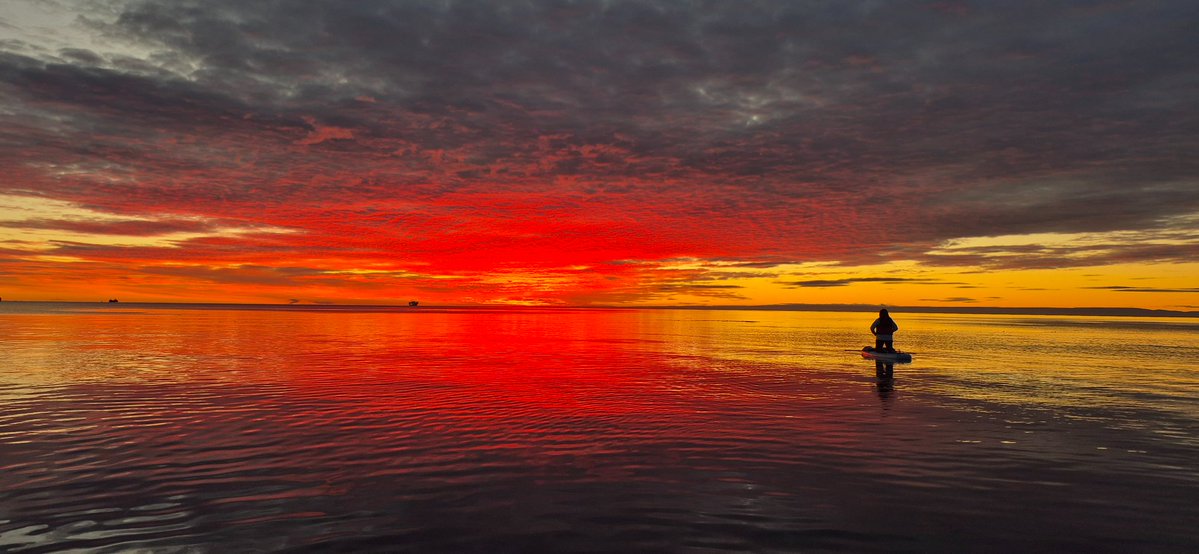 Jaime Oyarzun S. tweet media