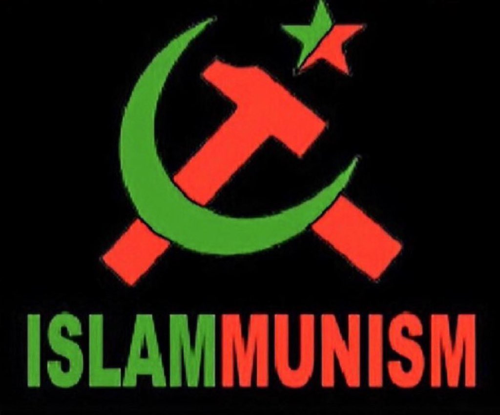 Morning Glory 🇺🇸🌼🇺🇸 tweet media