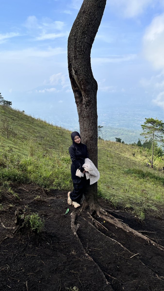 berangin in english tweet media