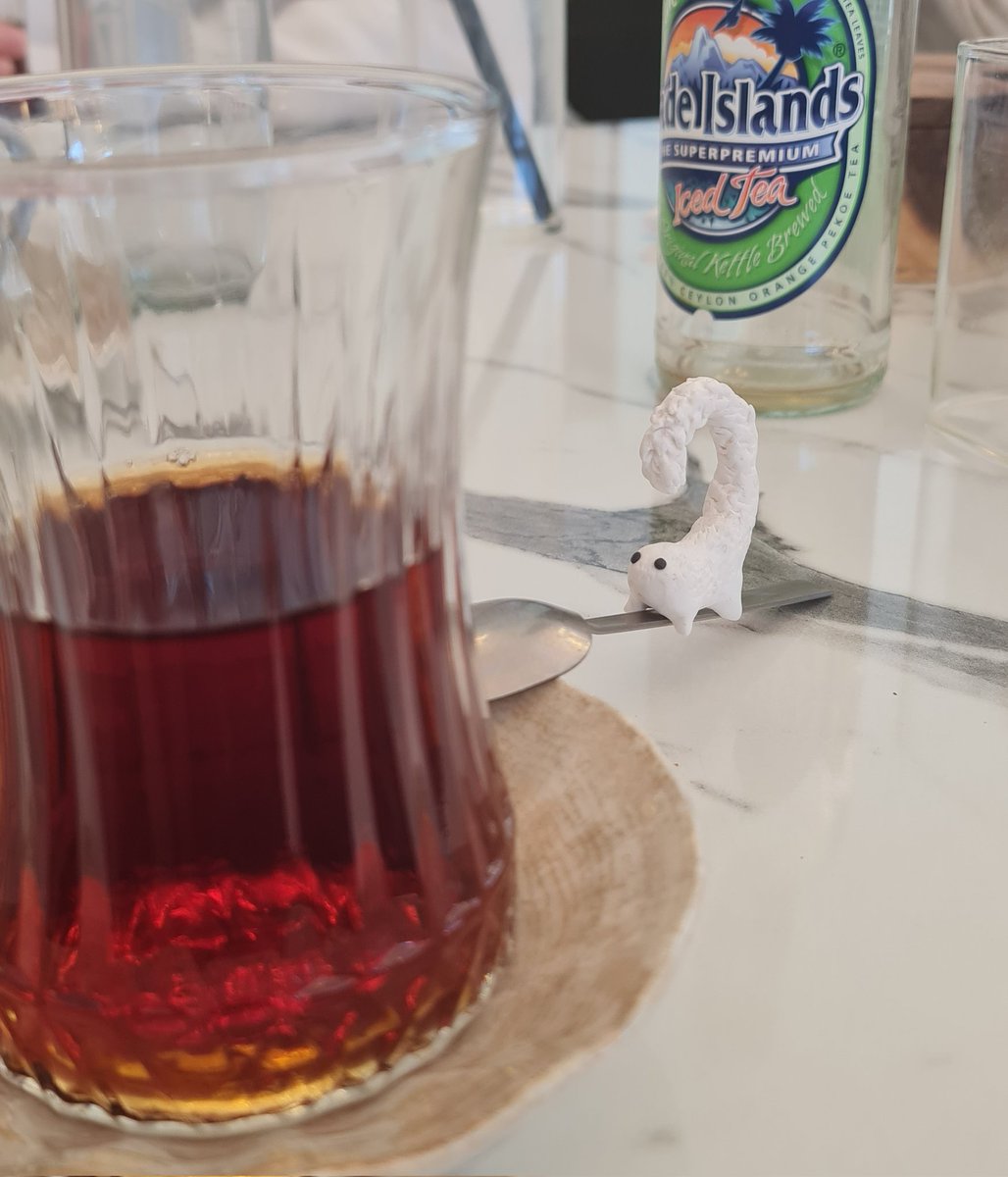 aliin_o7's tweet image. Letting minibrug roam free is my passion