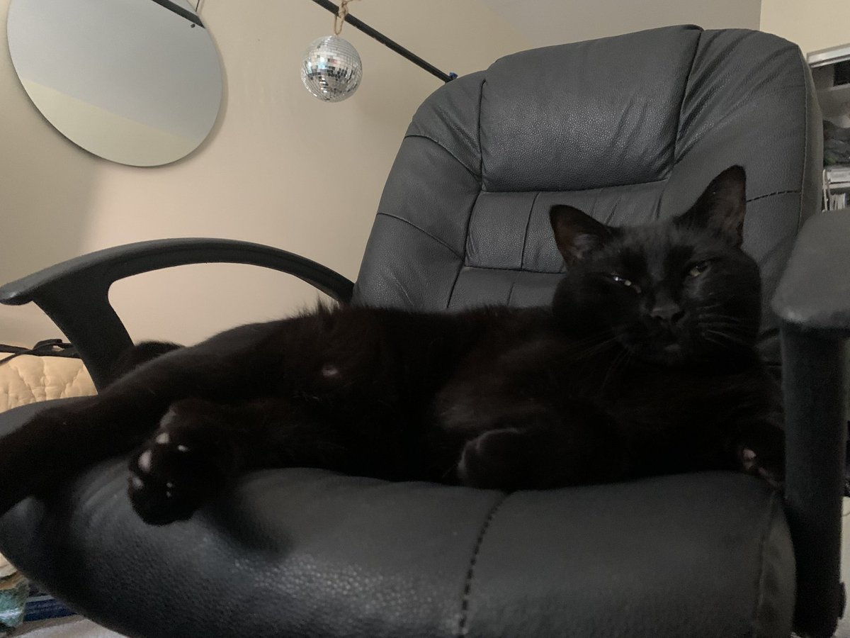 Jam جميلة tweet media