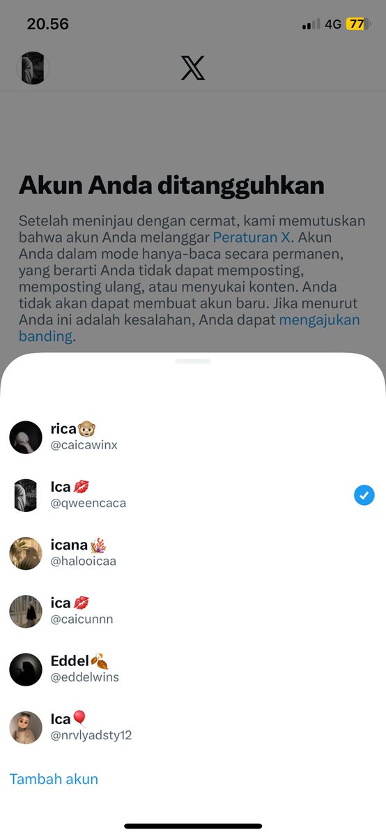 rica🐵 tweet media