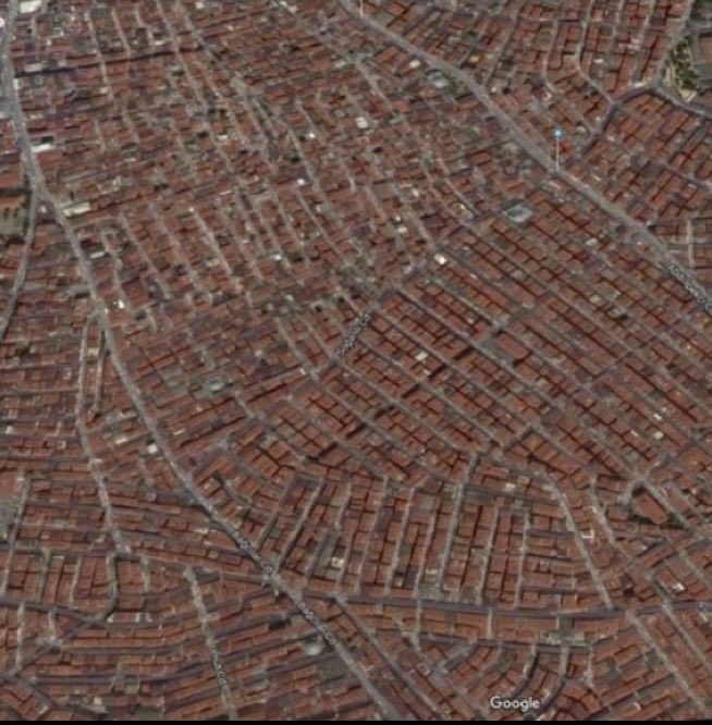 Profesör Facia tweet media