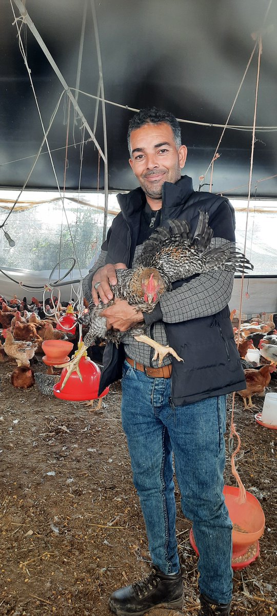 パルシック tweet media