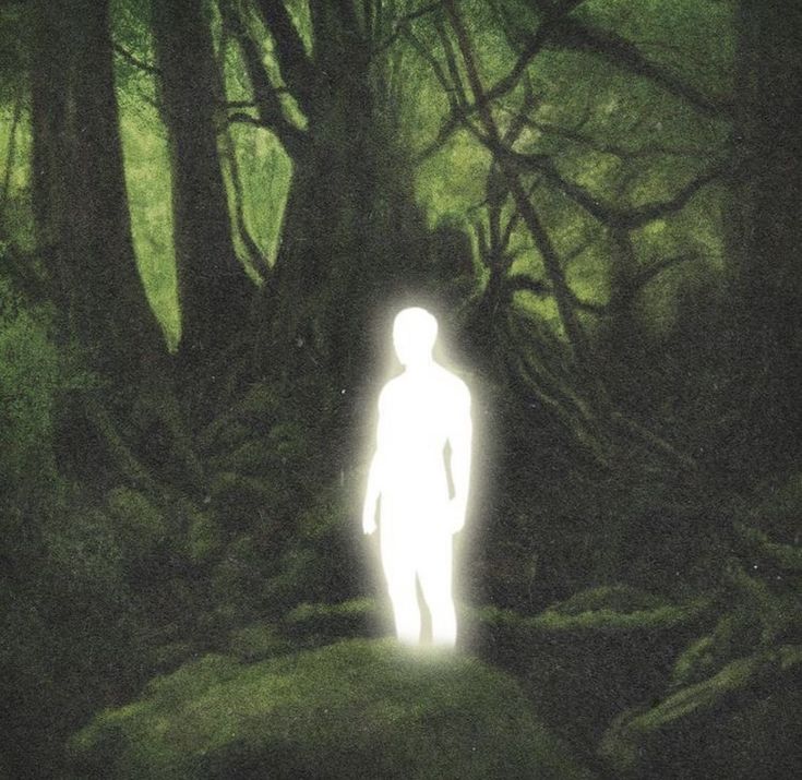 Mrn☀️ tweet media