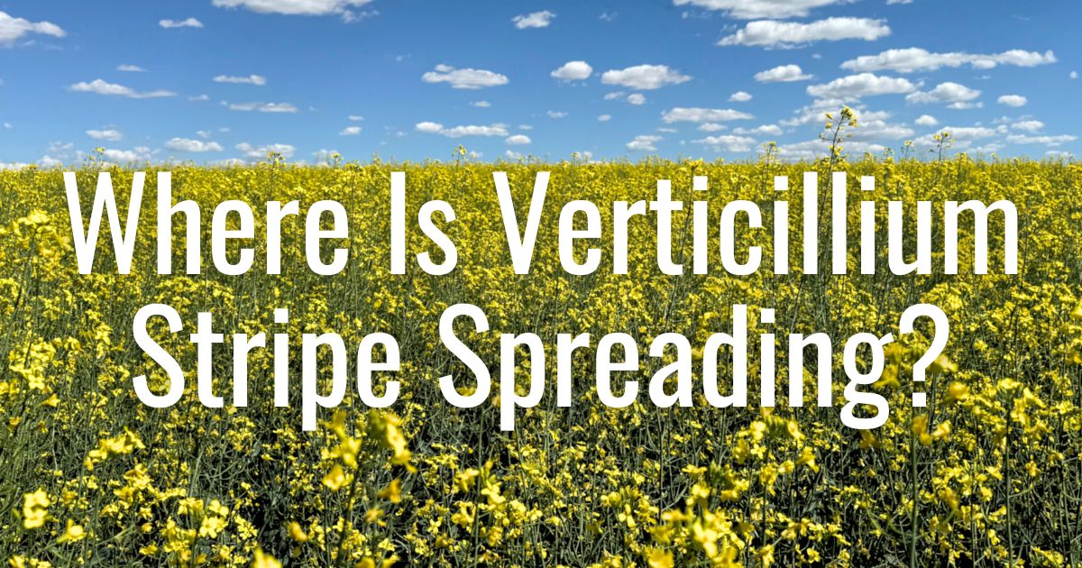 BrettYoung tweet media