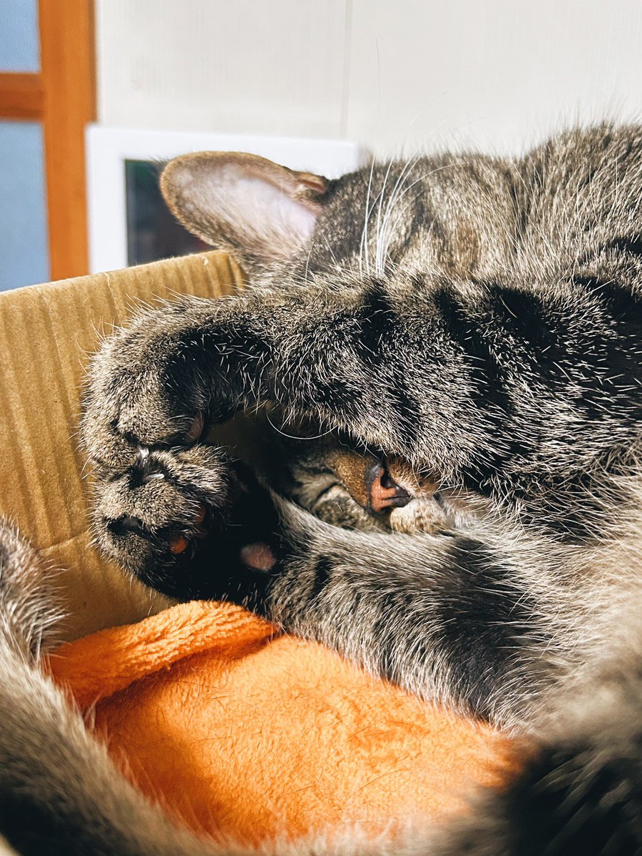 𝙇𝙊𝙉 tweet media