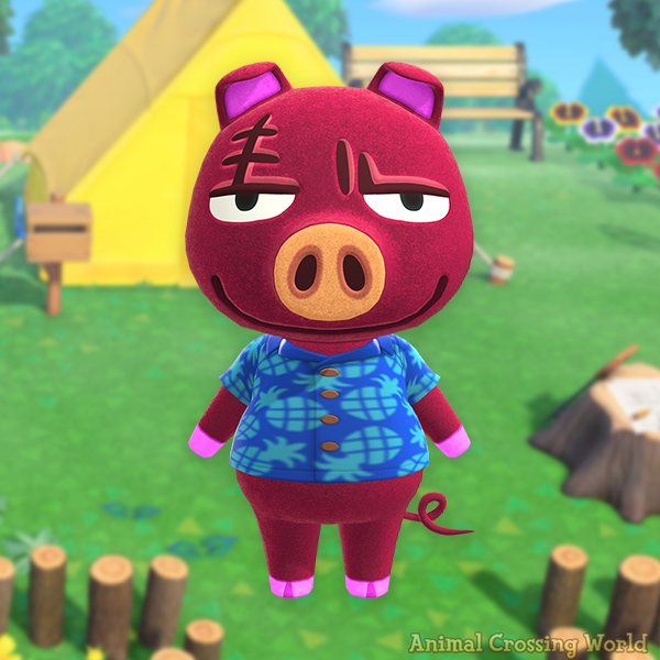 Animal Crossing World 🏝️ tweet media