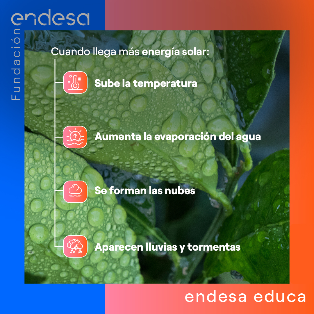 Endesa Educa tweet media
