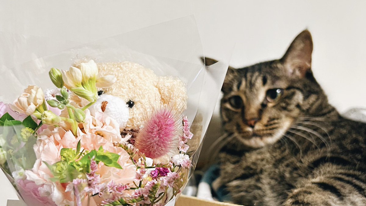 𝙇𝙊𝙉 tweet media